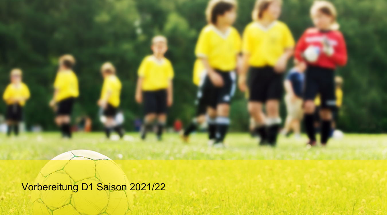 Read more about the article Spiele Vorbereitung SG Forchheim D1